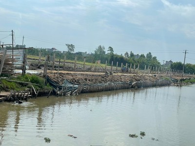 Vũ Thư - Thái Bình: Tháo dỡ trang trại nuôi trâu gây ô nhiễm môi trường