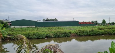 Vĩnh Bảo, Hải Phòng: Nhà xưởng rộng hàng nghìn mét vuông “mọc” trên đất nông nghiệp