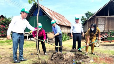 Đắk Lắk phát động phong trào toàn dân bảo vệ rừng
