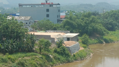 Hạ Hoà - Phú Thọ: Chính quyền “ở đâu” khi hành lang đê sông Hồng bị “uy hiếp”?