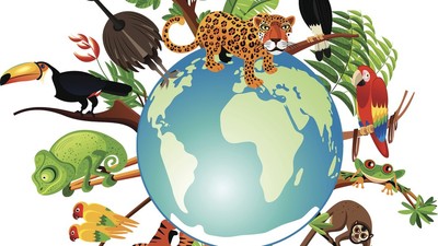Quảng Ninh hưởng ứng Ngày Môi trường thế giới và Ngày Quốc tế Đa dạng sinh học năm 2022
