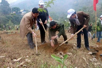 Hàng trăm hecta đồi cát ở Quảng Bình được phủ xanh sau khai thác khoáng sản
