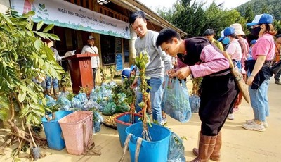 Sơn La trồng gần 6.000 cây ở Vân Hồ nhân Ngày Môi trường thế giới
