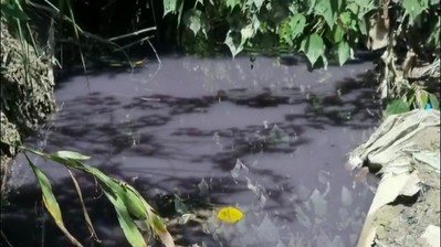 Thừa Thiên Huế: Cụm công nghiệp Thủy Phương xả thải bẩn, gây ô nhiễm môi trường