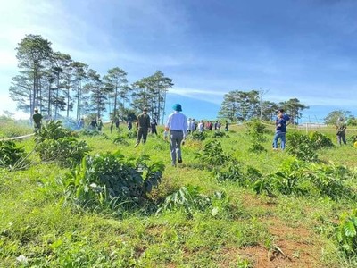 Đắk Nông: Cưỡng chế các trường hợp lấn chiếm đất rừng dọc Quốc lộ 28