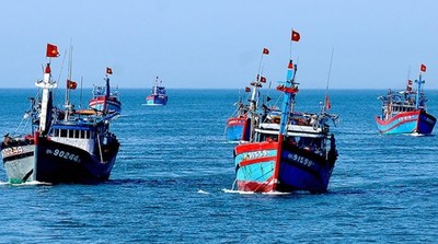 Quảng Ngãi phát triển kinh tế biển gắn với bảo vệ môi trường