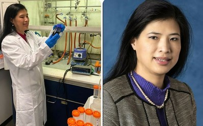 Nữ giáo sư gốc Việt được Hiệp hội Hóa học Hoàng gia Anh vinh danh