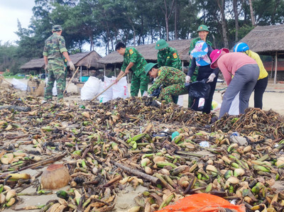 Thu gom hàng tấn rác trôi dạt vào bờ biển Vũng Tàu