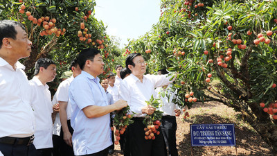 Tỉnh Bắc Giang vinh dự đón nguyên Chủ tịch nước Trương Tấn Sang về thăm