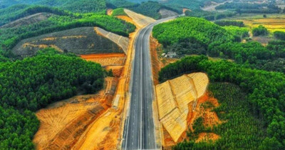 Lâm Đồng xin chuyển đổi hơn 186 ha rừng làm cao tốc Tân Phú - Bảo Lộc