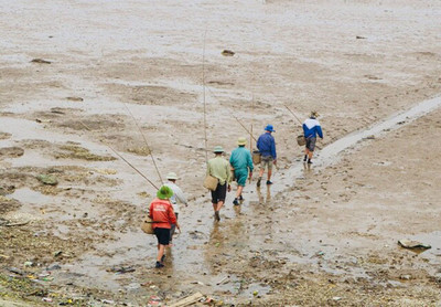 Rừng ngập mặn ở Nga Sơn (Thanh Hóa): Tấm “khiên xanh” ứng phó biến đổi khí hậu