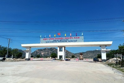 Chủ đầu tư khu công nghiệp Phước Nam khai thác trái phép 5.000 m3 đất