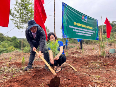 Tỉnh đoàn Kon Tum trồng cây xanh tại tuyến đường đèo Măng Đen