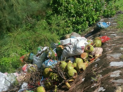 Thái Bình: Đường ra bãi biển Cồn Vành “ngập ngụa” rác thải
