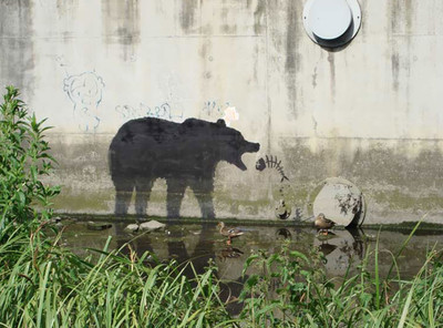 Những bức tranh tường và thông điệp bảo vệ môi trường sâu sắc