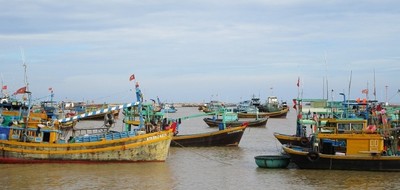 16 người trên tàu cá ở Bình Thuận bị mất liên lạc 4 ngày qua