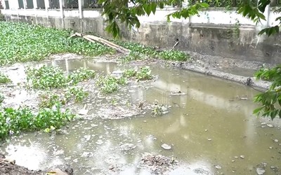 Sông Bắc Hưng Hải đang “oằn mình” gánh chịu ô nhiễm từ nước thải