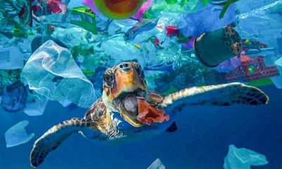 Phát động giải báo chí “Giảm ô nhiễm nhựa đại dương” lần thứ 2