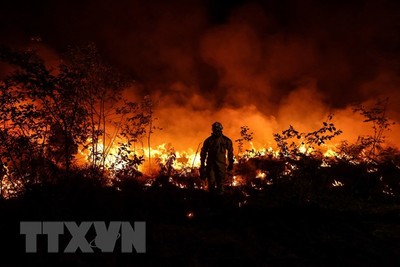Tác nhân chính gây ra tình trạng nắng nóng khắc nghiệt và cháy rừng