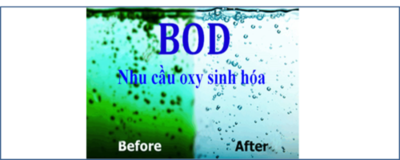 Phương pháp xử lý nồng độ BOD trong nước thải