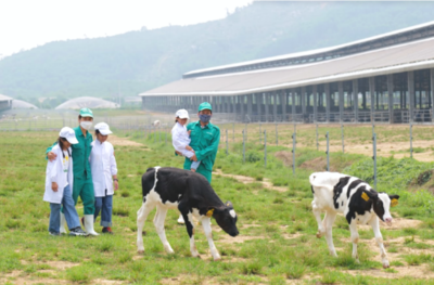 Vinamilk và Quỹ sữa Vươn cao Việt Nam tổ chức nhiều hoạt động đồng hành nhân dịp 15 năm thành lập