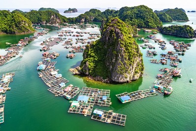 Vịnh Lan Hạ là điểm đến đẹp nhất Việt Nam