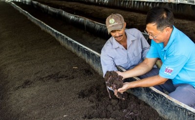Mô hình nuôi trùn quế xử lý chất thải heo làm phân hữu cơ đầu tiên tại Việt Nam