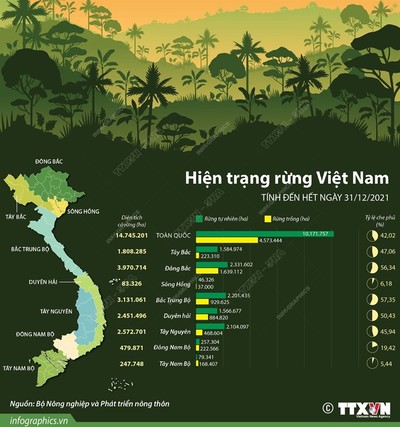 Việt Nam có hơn 14,7 triệu ha đất rừng năm 2021