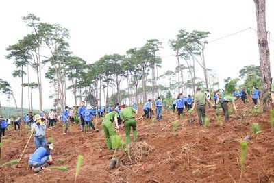 Đắk Nông: Tổ chức Lễ ra quân trồng 25.000 cây xanh tại xã Quảng Sơn