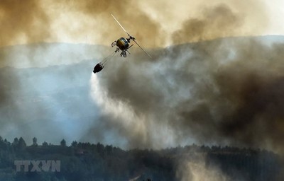 Nga: Phía Nam thủ đô Moskva ban bố tình trạng khẩn cấp do cháy rừng