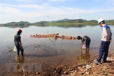 Cá chết bất thường tại hồ cấp nước sinh hoạt cho thành phố Hà Tĩnh