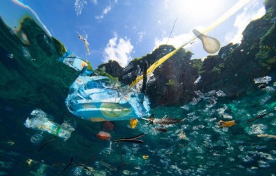 Quảng Ngãi tổ chức Hội thảo Tập huấn đánh giá cơ sở rác thải nhựa đại dương
