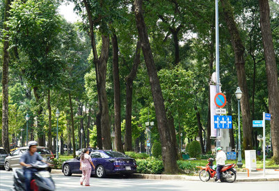Nhiều tuyến đường ở TP.Hồ Chí Minh cấm dừng, đỗ từ ngày 11/9