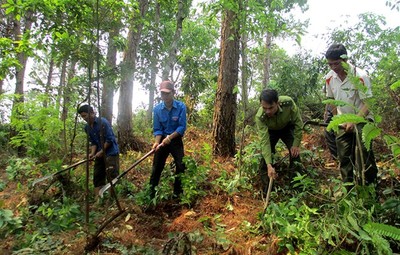 Bắc Ninh nâng cao năng lực quản lý, bảo vệ rừng