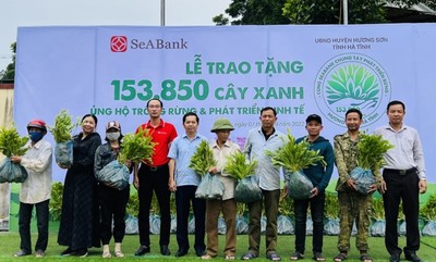 Hà Tĩnh: 30 hộ dân ở huyện Hương Sơn được tặng gần 154.000 cây keo giống