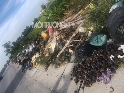 Nghệ An: Bãi rác thải tự phát nằm ngay đường QL1A “hành dân” sống xung quanh