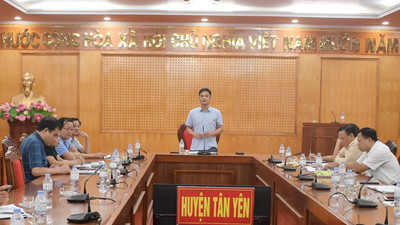 Bắc Giang: Khuyến khích mở rộng vùng sản xuất vải đạt tiêu chuẩn ở Tân Yên