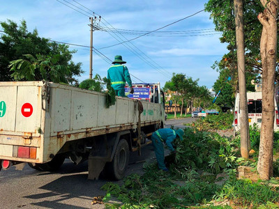 Đà Nẵng khẩn trương cắt tỉa cây xanh đô thị để ứng phó với mùa mưa bão 2022