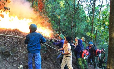 Bắc Ninh: Nâng cao năng lực quản lý, bảo vệ rừng và phòng cháy chữa cháy rừng