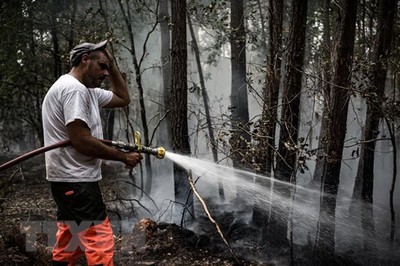 Đã kiểm soát đám cháy rừng ở vùng trồng nho Tây Nam nước Pháp