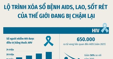 Vì sao nỗ lực xóa sổ bệnh AIDS, lao, sốt rét của thế giới lần đầu tiên bị giảm xuống?