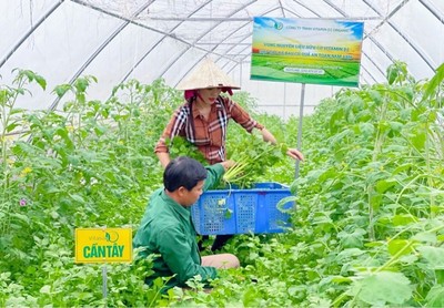 Dự thảo đề án phát triển nông nghiệp hữu cơ tỉnh Nghệ An giai đoạn 2022-2030