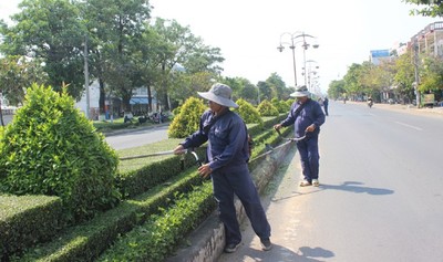 Phú Yên nạo vét cống rãnh, chặt tỉa cây xanh đô thị trước mùa mưa bão