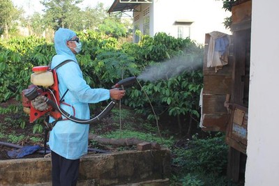 Long An triển khai khẩn cấp phòng, chống sốt xuất huyết Dengue