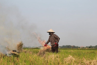 Kiểm kê phát thải và mô hình hóa lan truyền bụi đốt rơm rạ trên địa bàn Thành phố Hà Nội