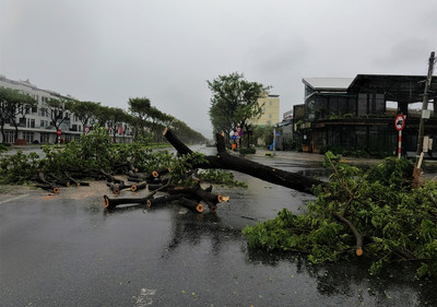 Hình ảnh thiệt hại do bão Noru gây ra tại Đà Nẵng