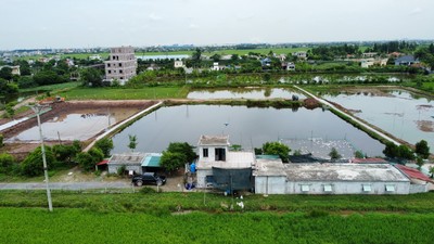 Tiền Hải : Chính quyền xã Nam Thắng buông lỏng quản lý, hàng vạn m³ đất bị “lạc trôi”