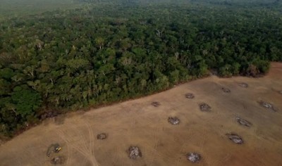 Các ngân hàng trung ương của thế giới vẫn tài trợ phá hủy rừng nhiệt đới