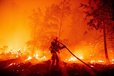 Bờ Đông Hoa Kỳ đối mặt với nguy cơ cháy rừng tiềm ẩn