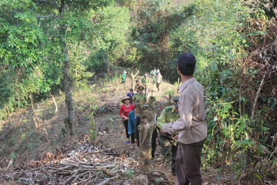 Lai Châu tăng cường công tác quản lý bảo vệ rừng và phòng cháy, chữa cháy rừng